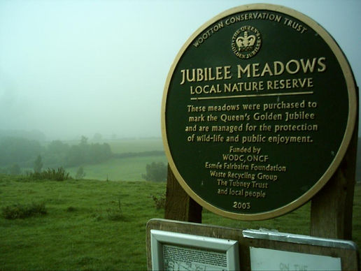 Meadows.jpeg